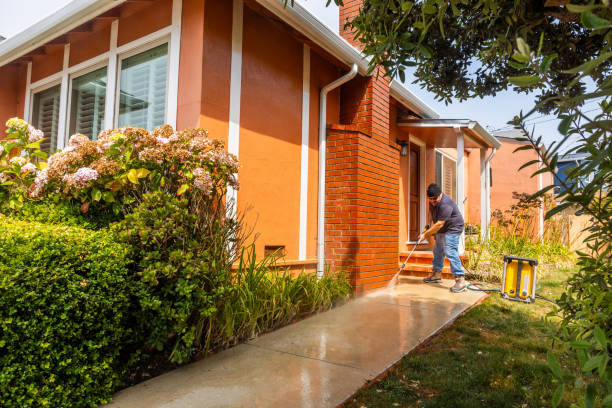 Best Exterior Home Cleaning  in Shakopee, MN