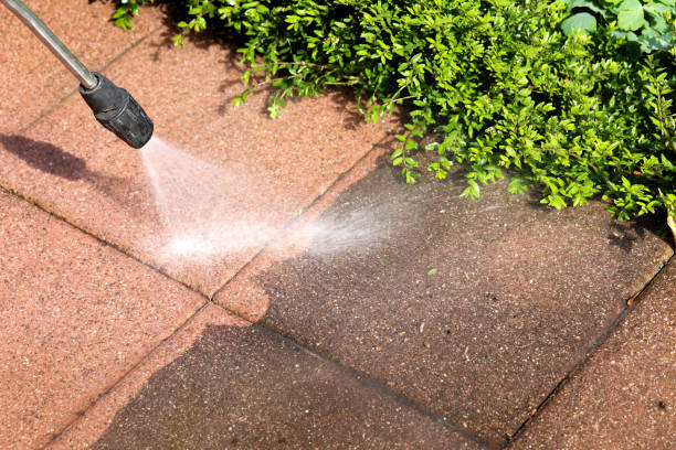 Best Power Washing Near Me  in Shakopee, MN